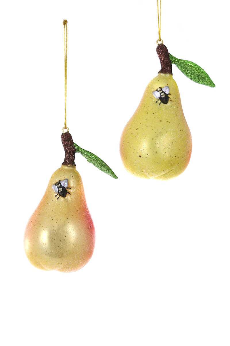 Orchard Pear with Bee
