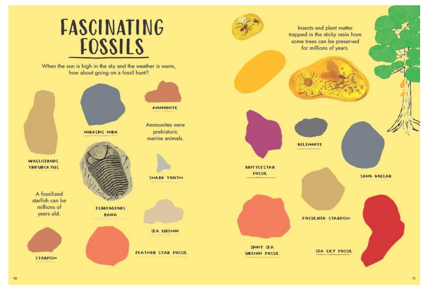 Hello Summer: A Sticker Activity Nature Guide