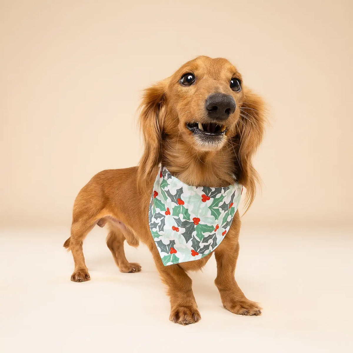 Yule Christmas Dog Bandana