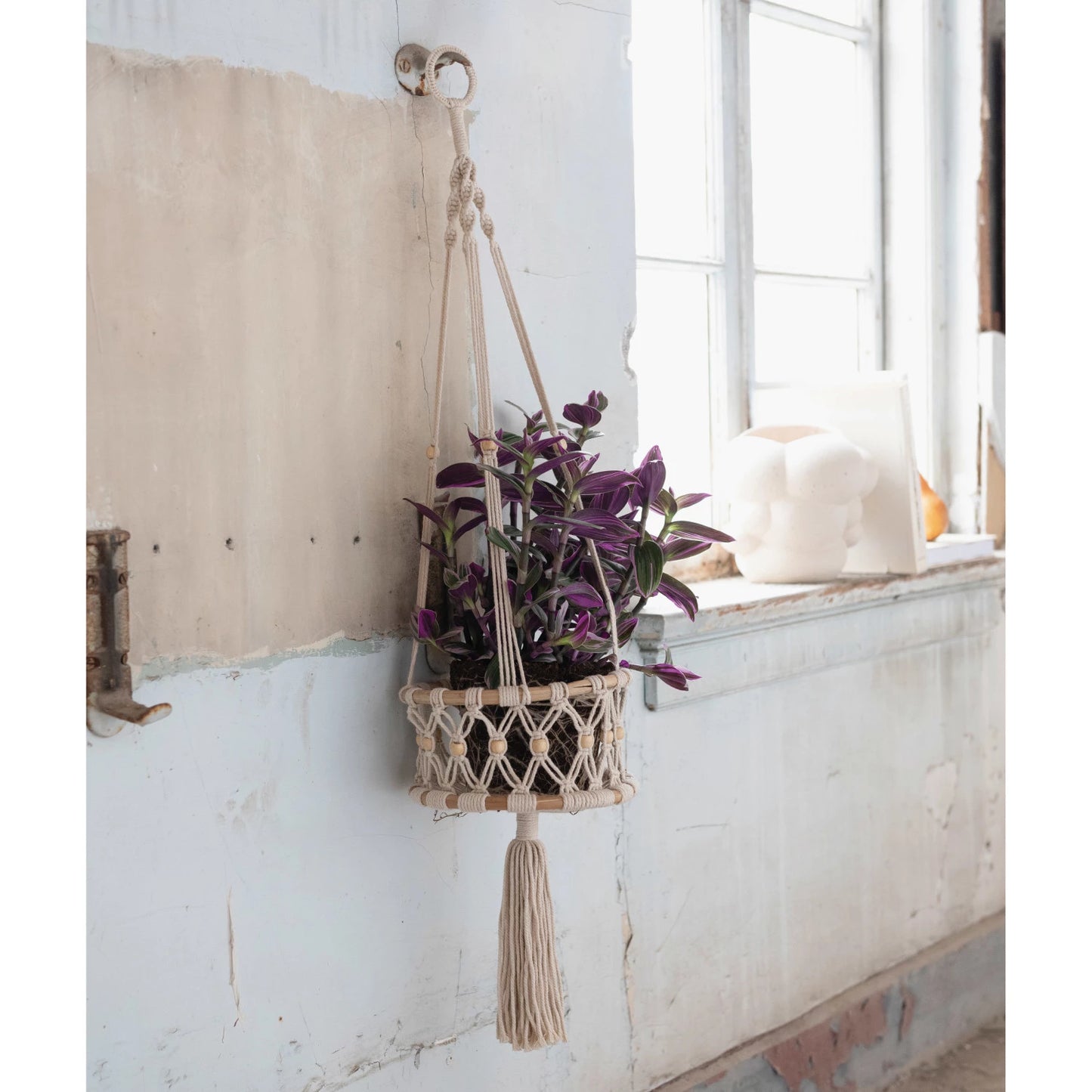 Hand-Woven Cotton Macrame & Rattan Plant Hanger