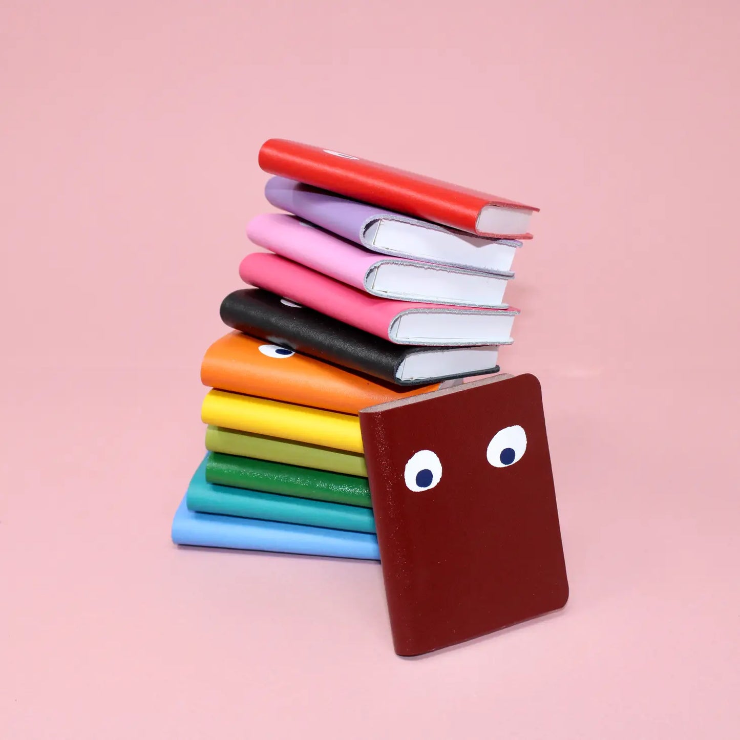 Googly Eye Mini Leather Notebook