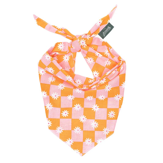 Hula Dog Bandana