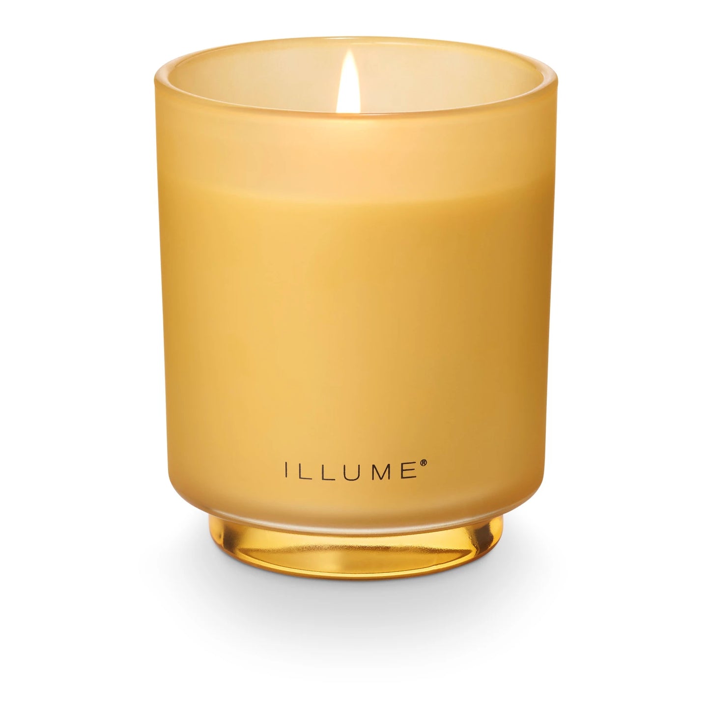 Santal Birch Glass Candle