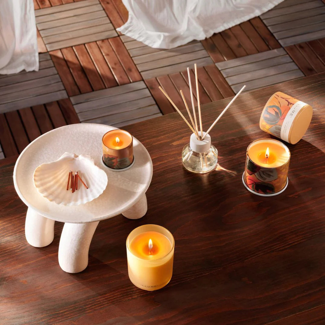 Santal Birch Glass Candle