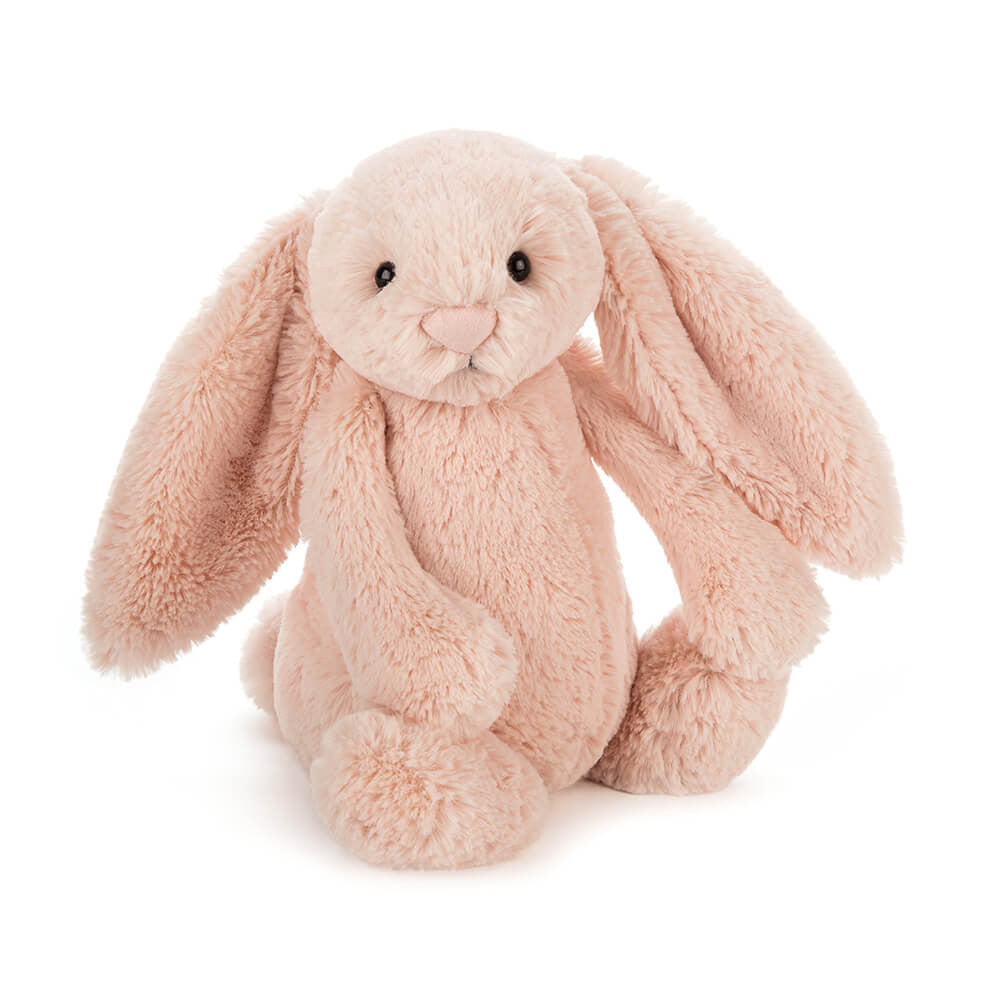 Bashful Bunny