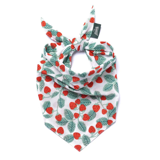 Henley Dog Bandana