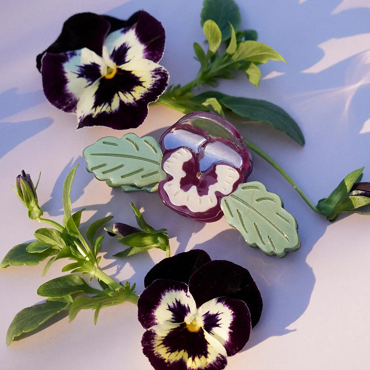 Wild Pansy Mini Claw