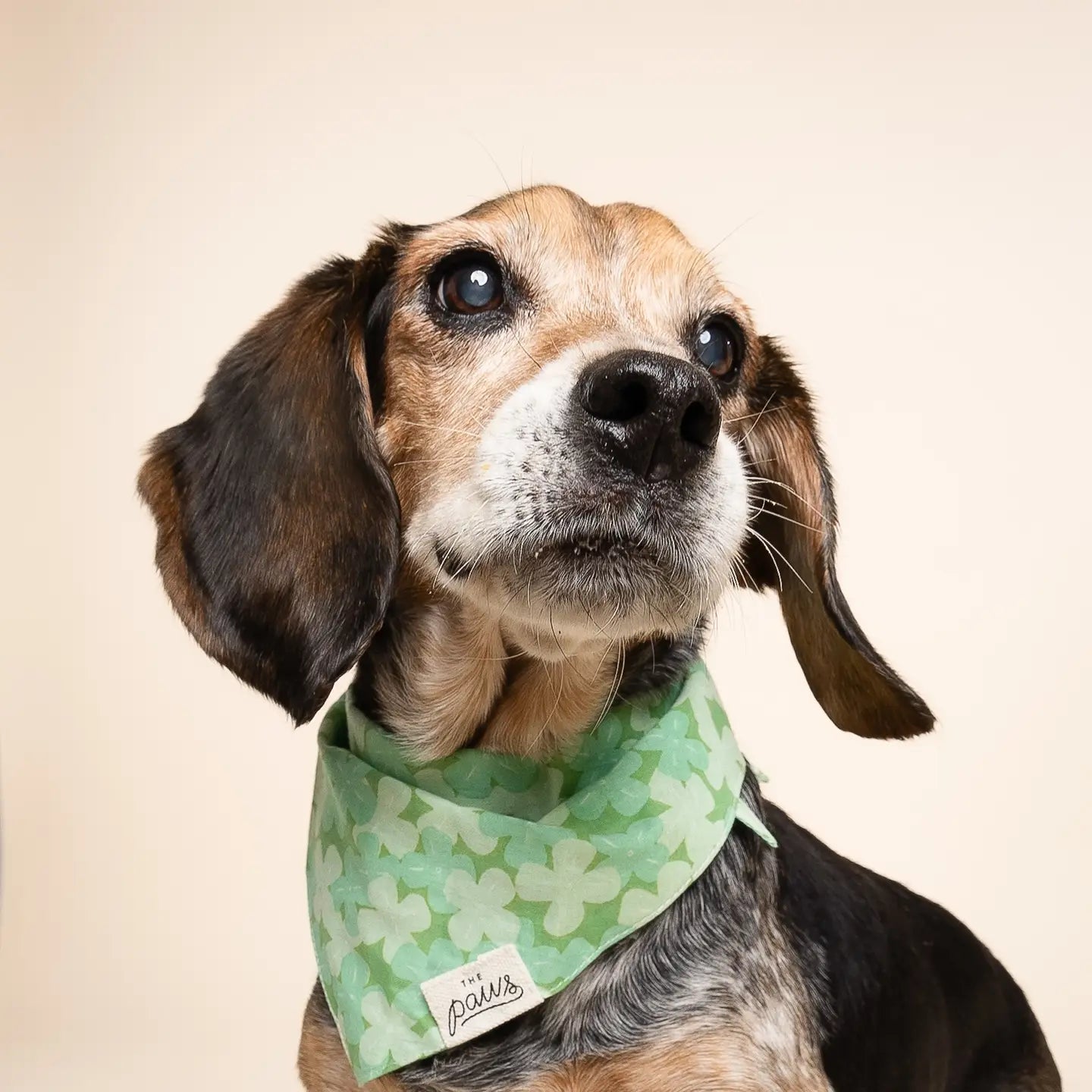 Clover Dog Bandana