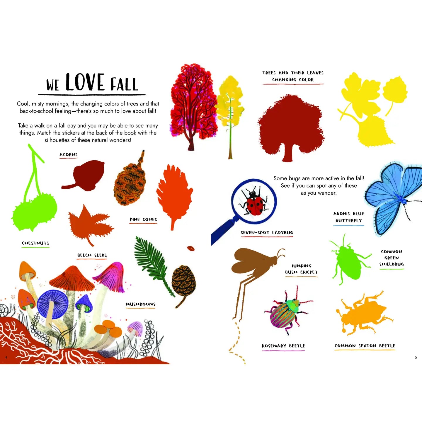 Hello Fall
