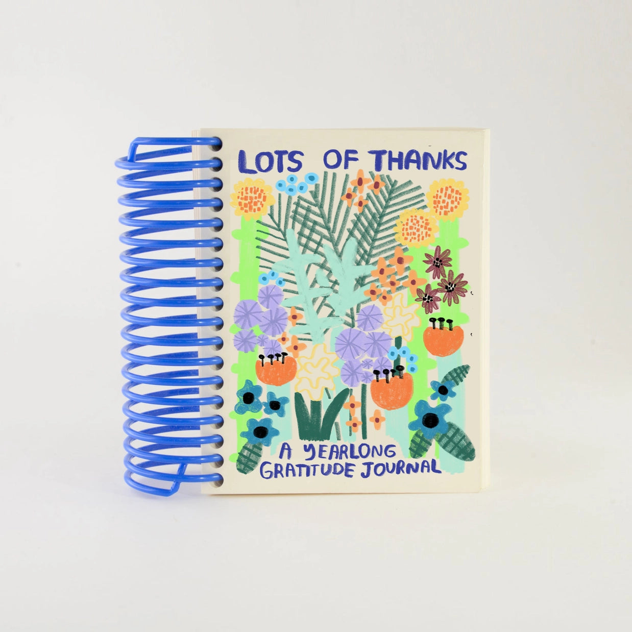Lots of Thanks Gratitude Journal