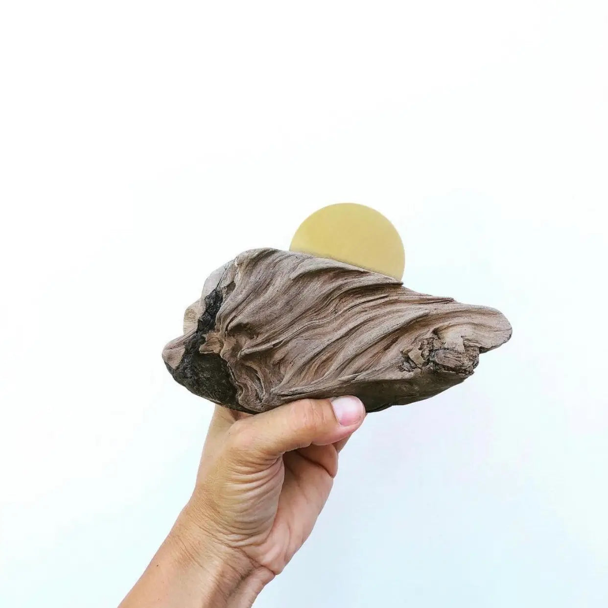 Mini Driftwood and Brass Wall Sculpture