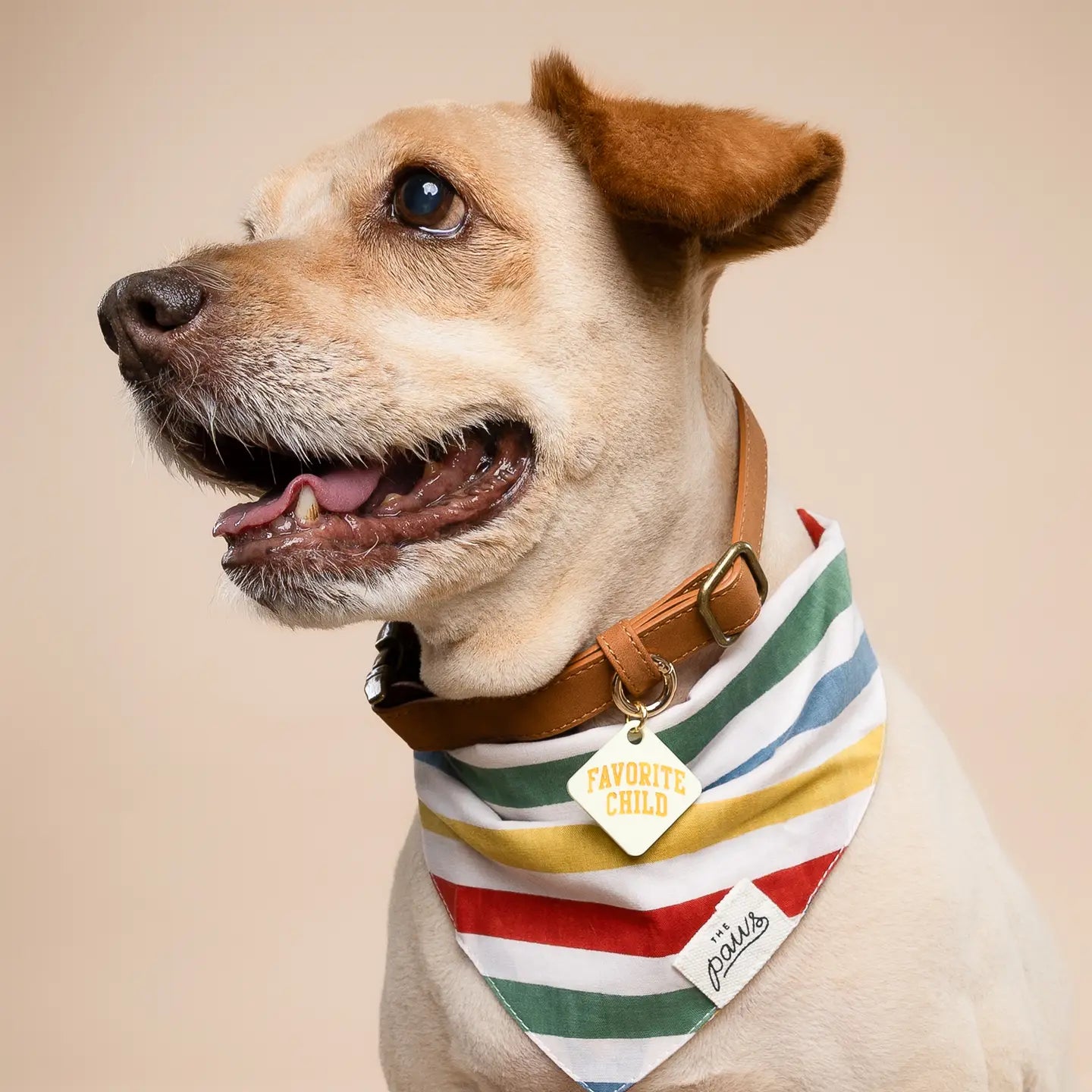 Frontier Dog Bandana