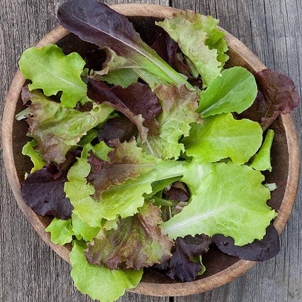 Gourmet Salad Pocket Gardner