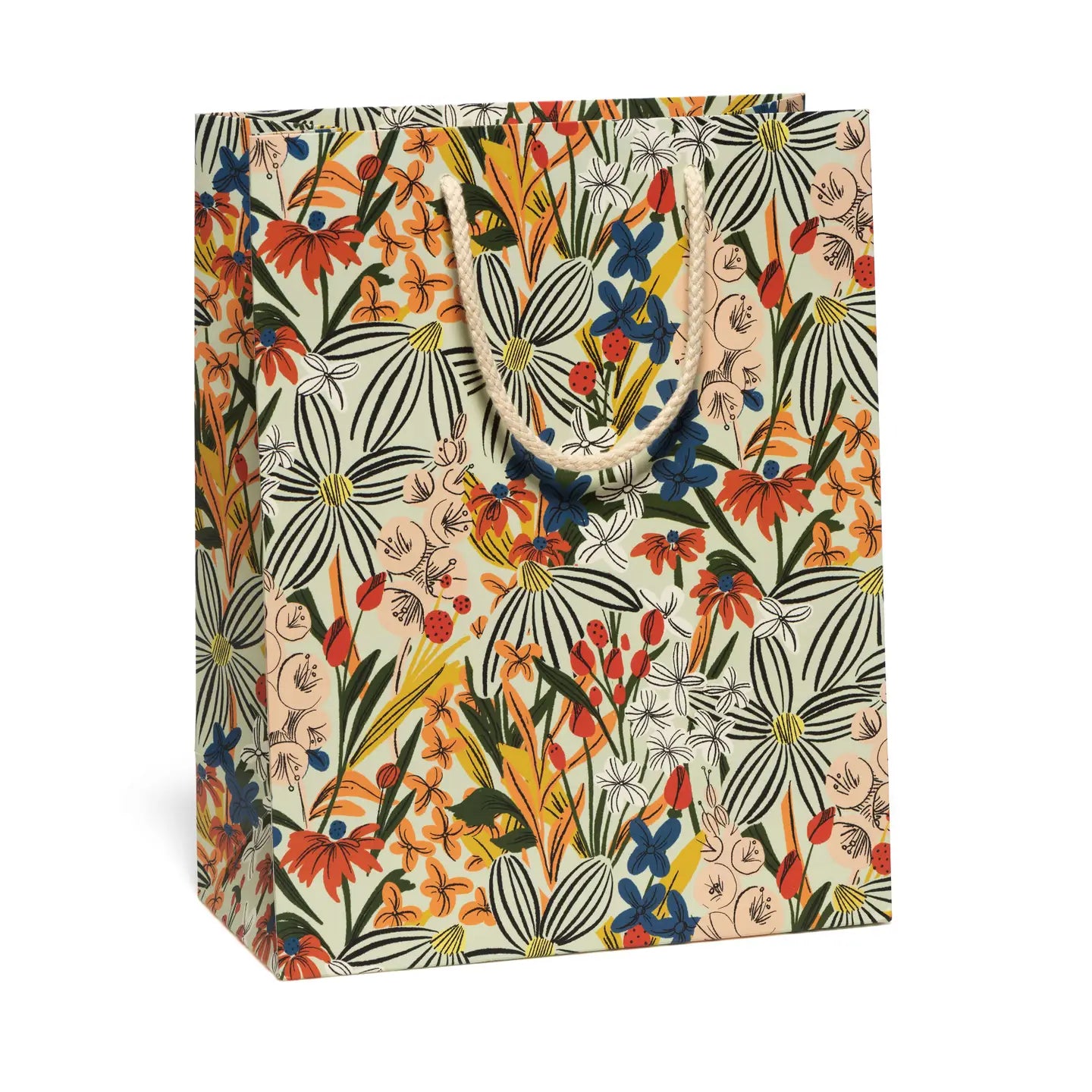 Large Red Cap Gift Bags