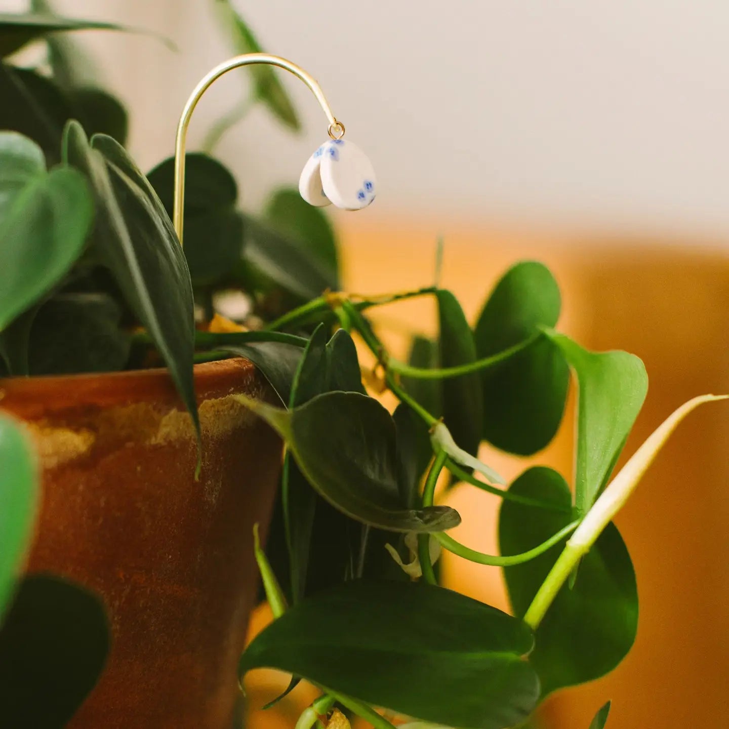 Tiny Plant Butterfly