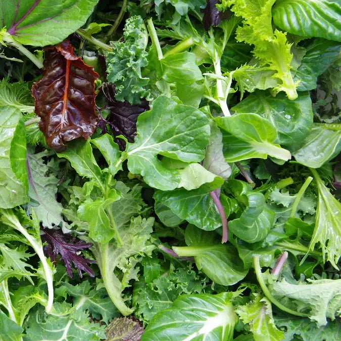Gourmet Salad Pocket Gardner