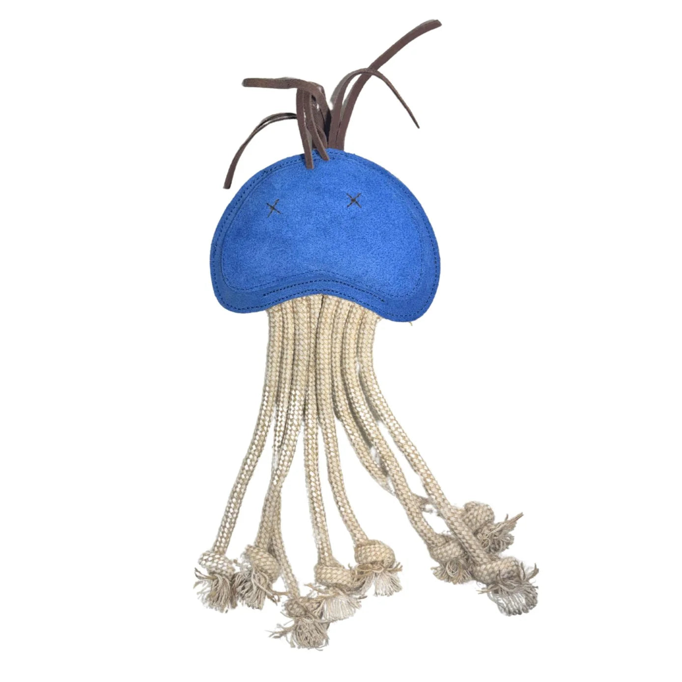 Joe Jellyfish