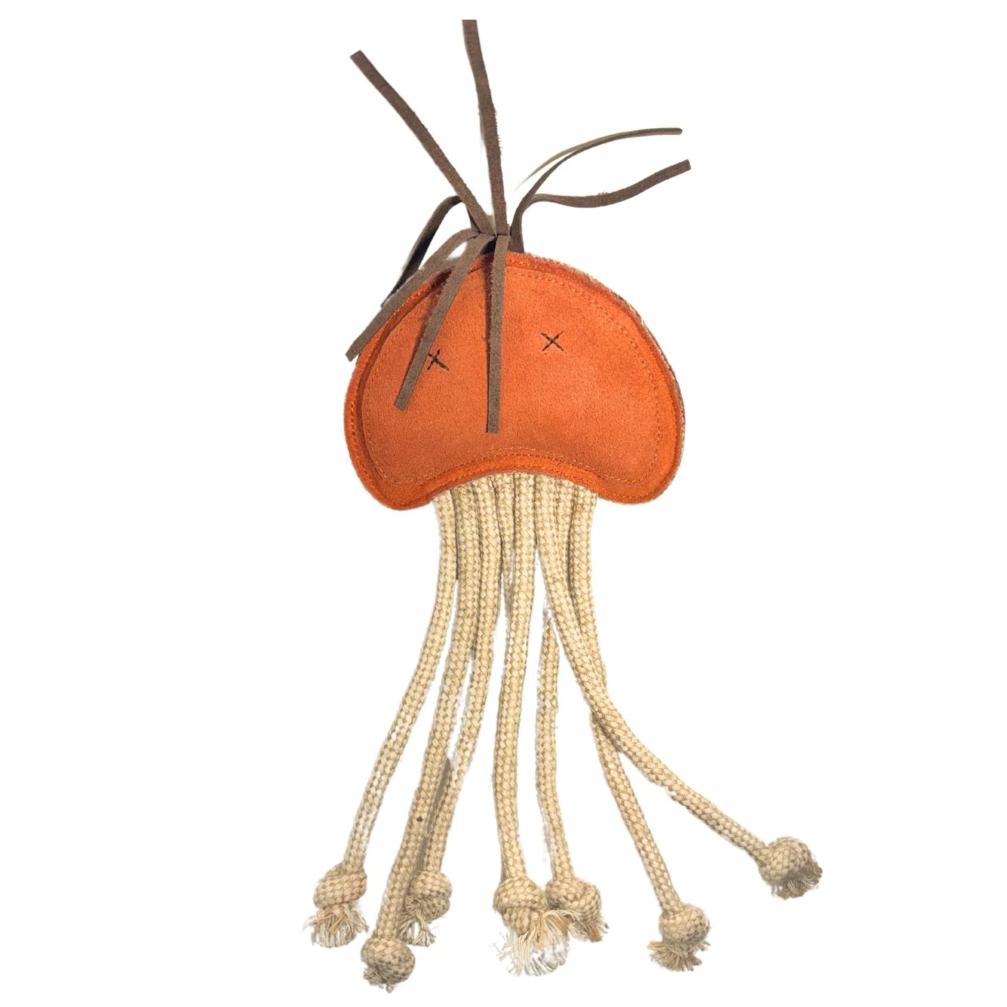 Joe Jellyfish