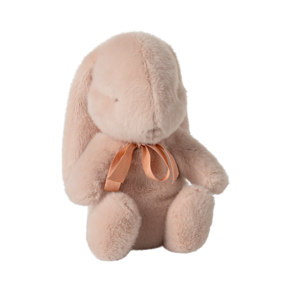 Small Plush Bunny