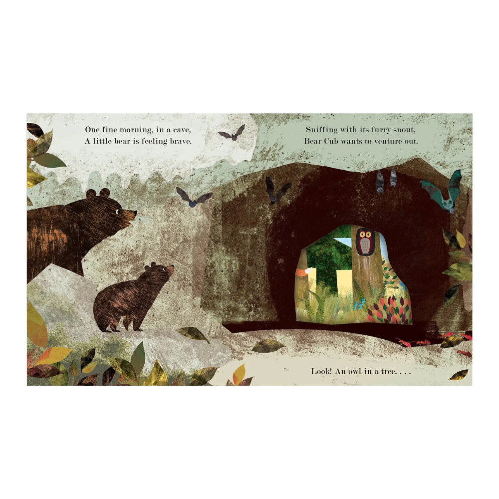 Home: A Peek-Through Board Book