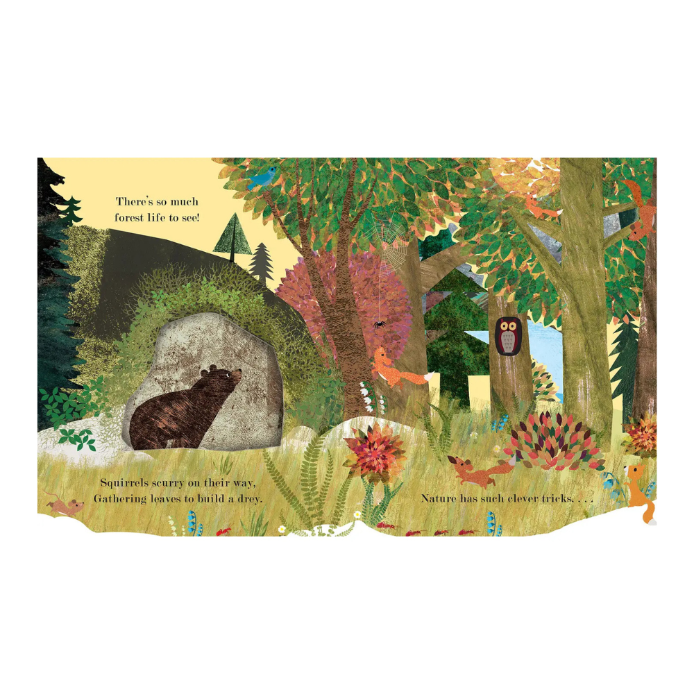 Home: A Peek-Through Board Book
