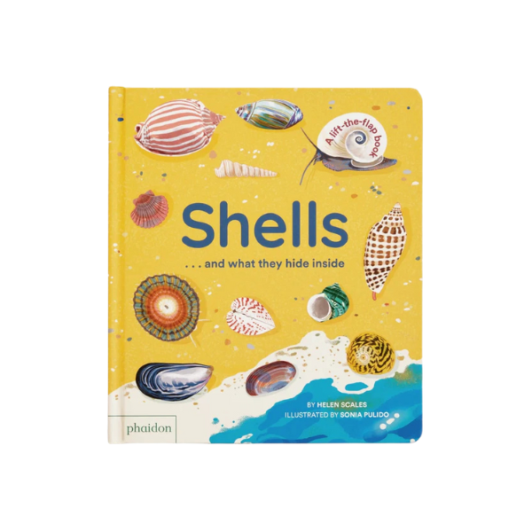 Shells... and What They Hide Inside