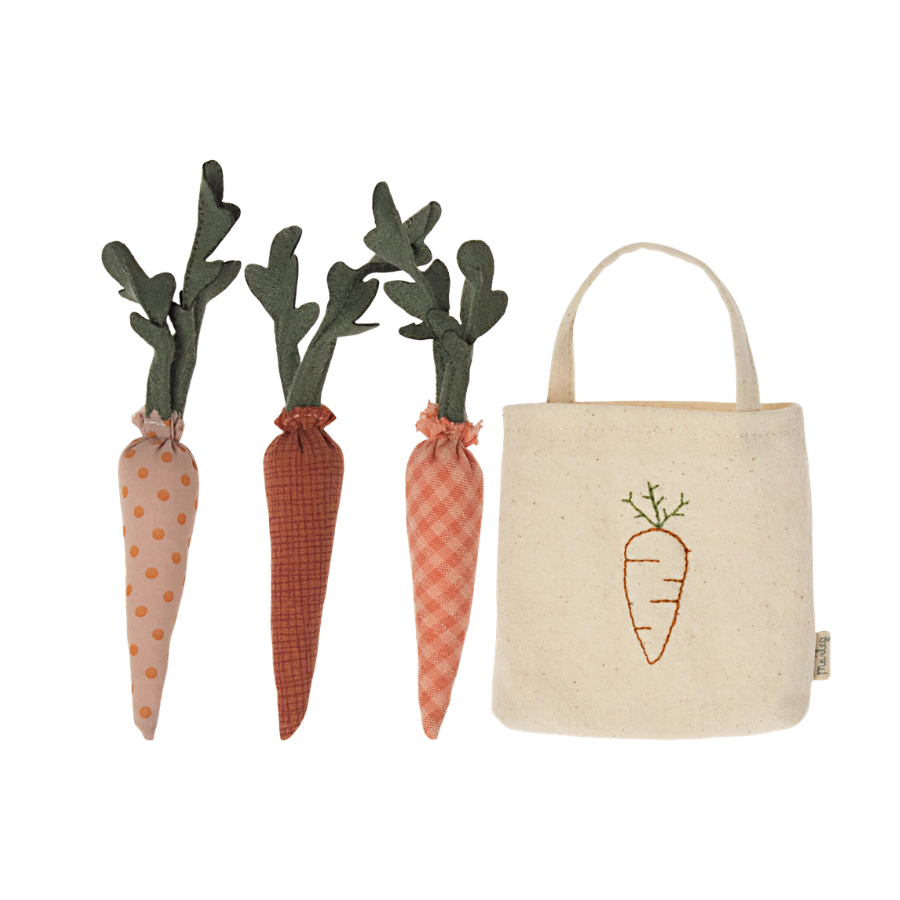 Carrots in Shopping Bag