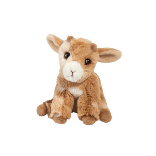 Mini Dandie Goat