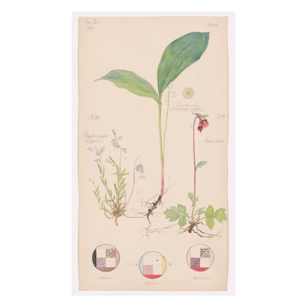 Hilma af Klint: What Stands Behind the Flowers