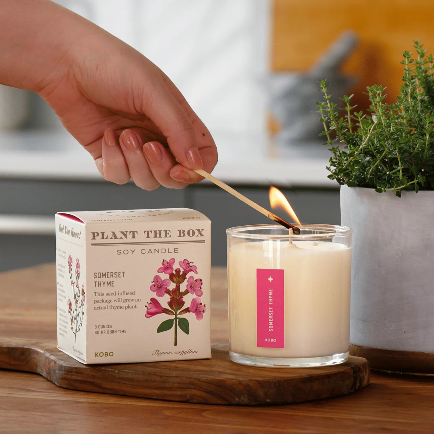Somerset Thyme Candle