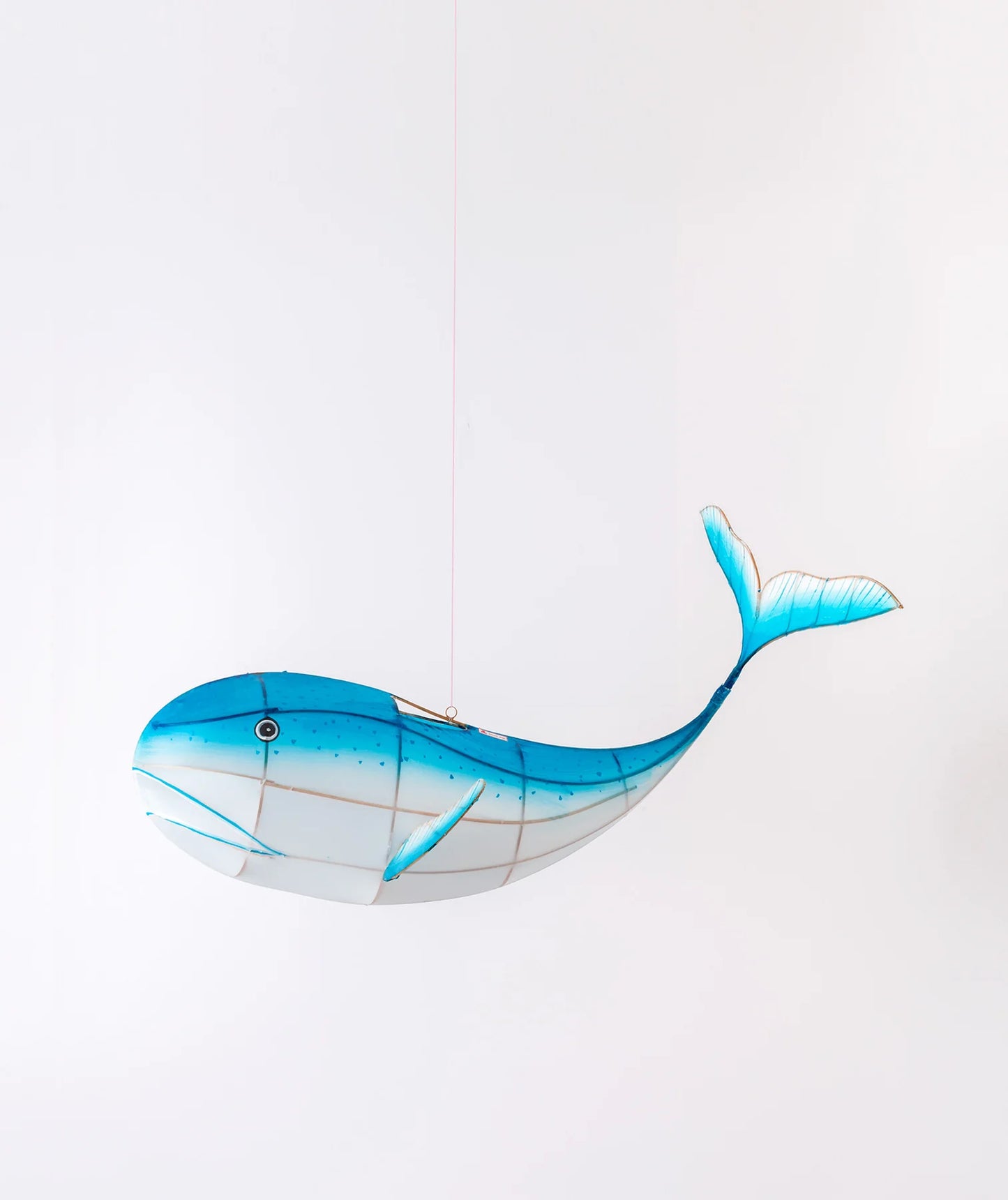 Whale Lantern