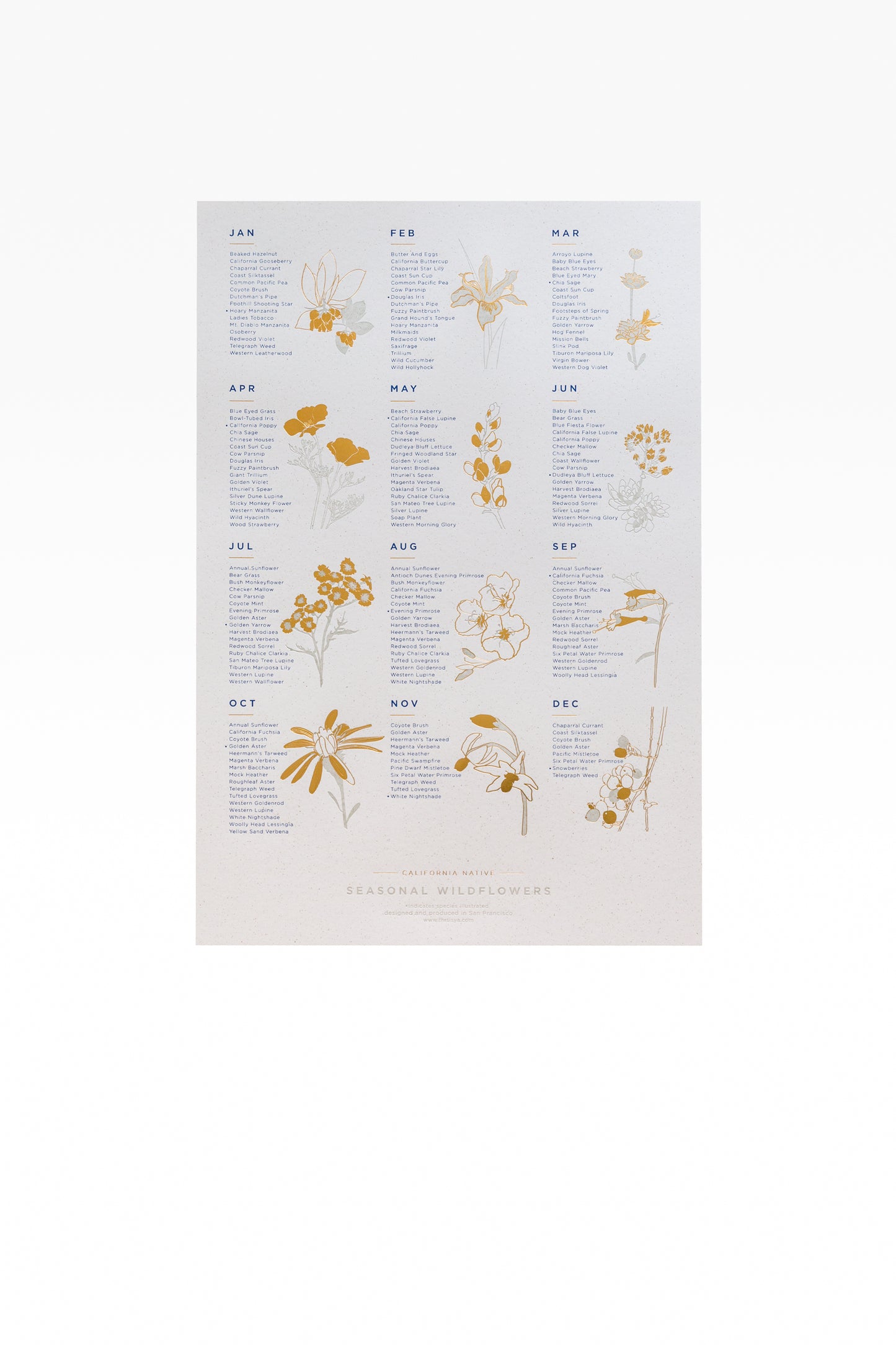 Wildflower Foil Pressed Print
