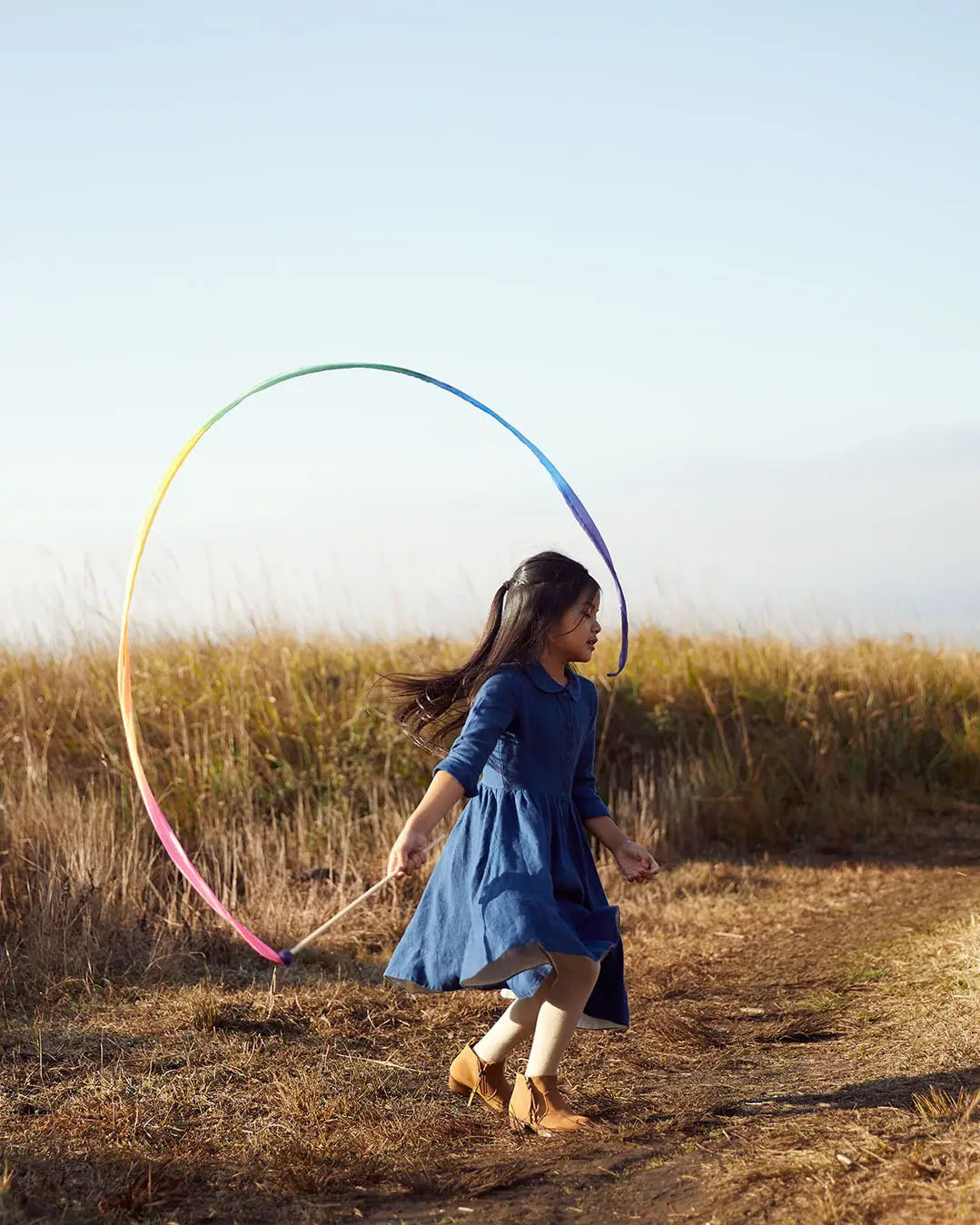 Rainbow Silk Streamer