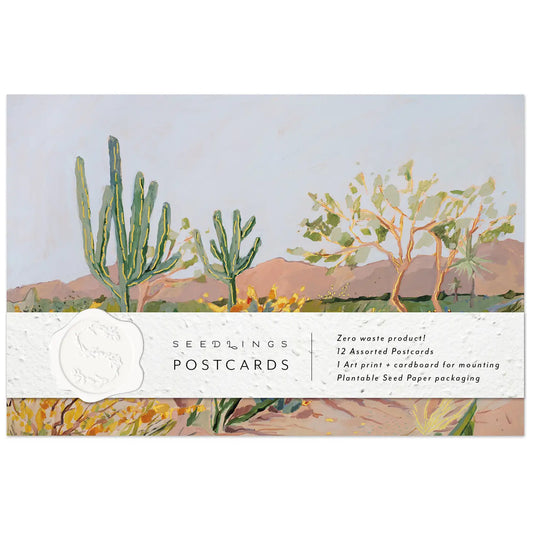 Desert Cactus Postcard Set