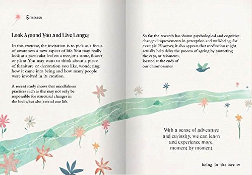The Little Book of Mindfulness: 10 Minutes a Day to Less Stress, More Peace