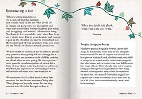 The Little Book of Mindfulness: 10 Minutes a Day to Less Stress, More Peace