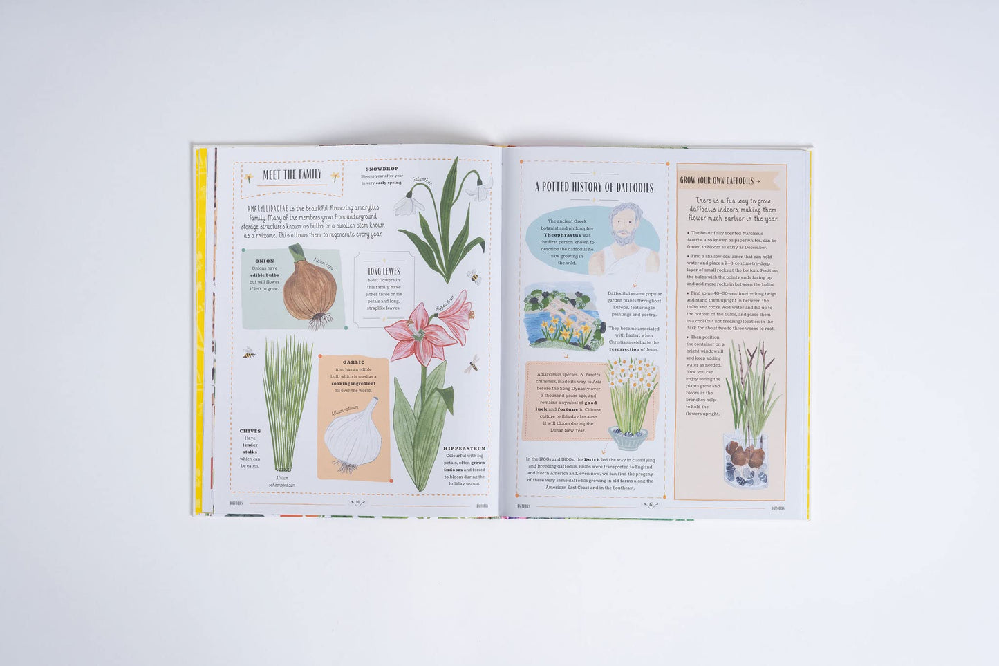 GROW a family guide to plants