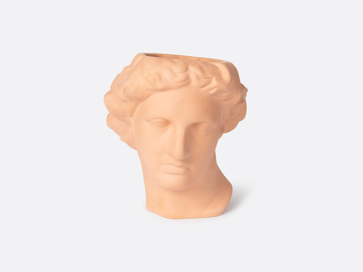 Terracotta Vase