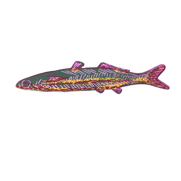 Ark Colour Bookmarks