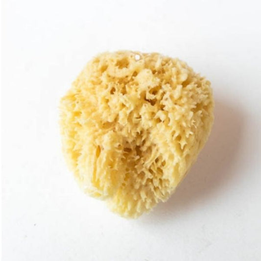 Wool Sponge