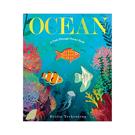 Ocean: A Peek-Through Picture Book Hardcover