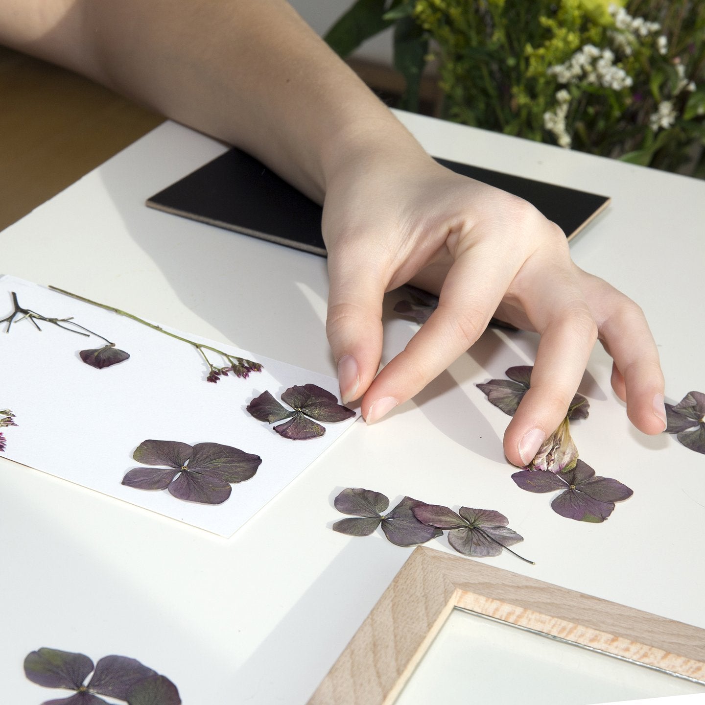 Huckleberry Flower Press Frame - Gold Leaf